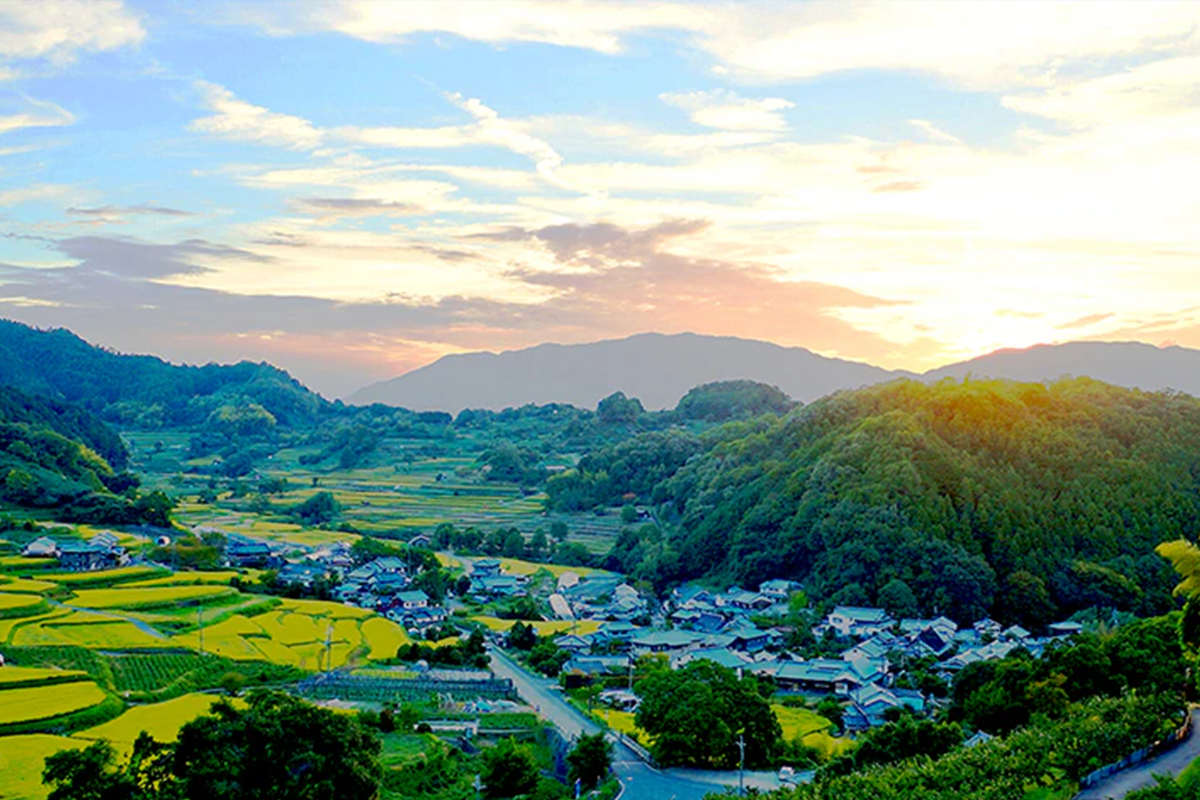 テクノロジーの写真